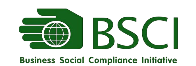 Figure-5-BSCI-Audit-removebg-preview